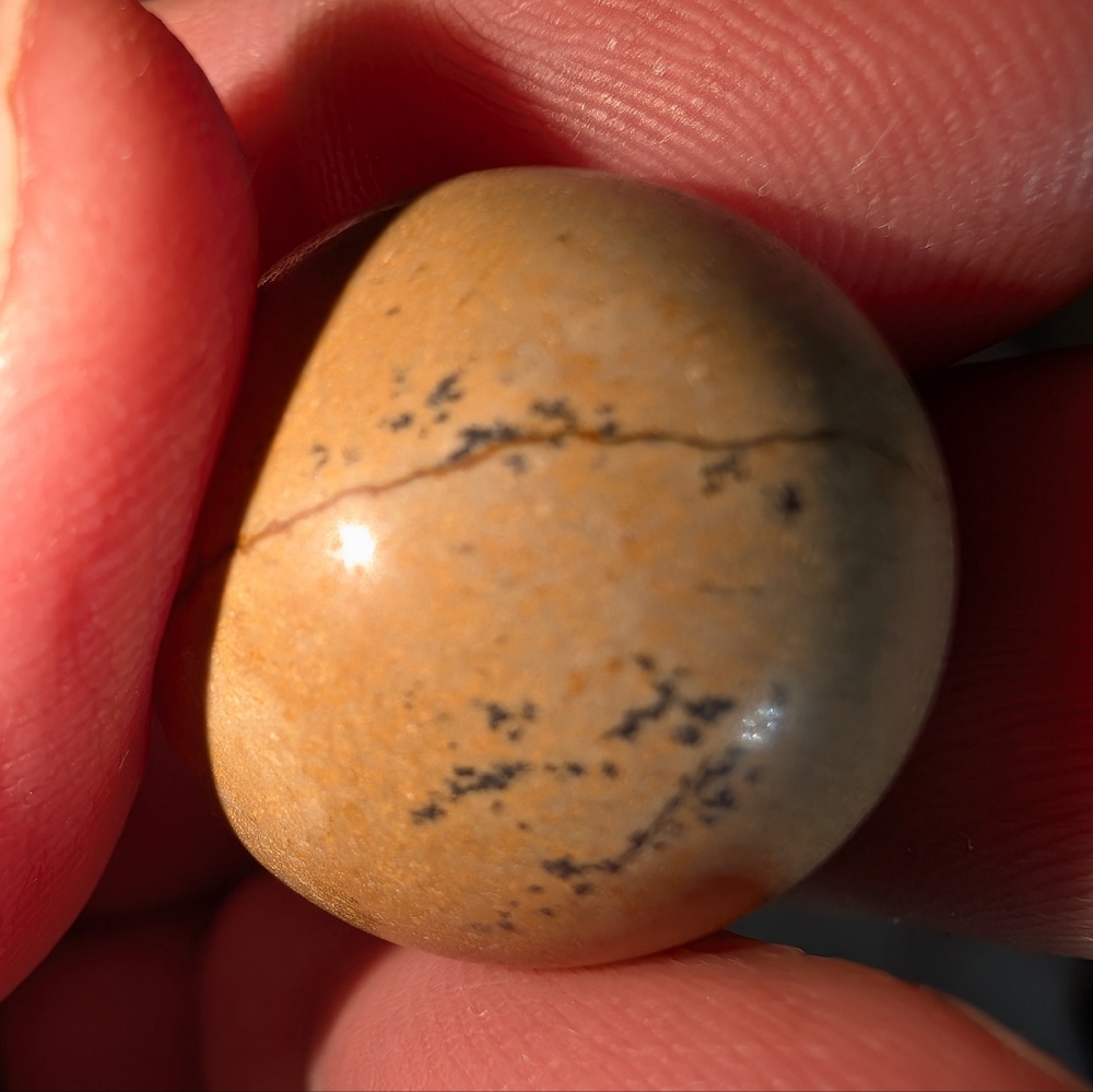 Picture Jasper Mini Sphere